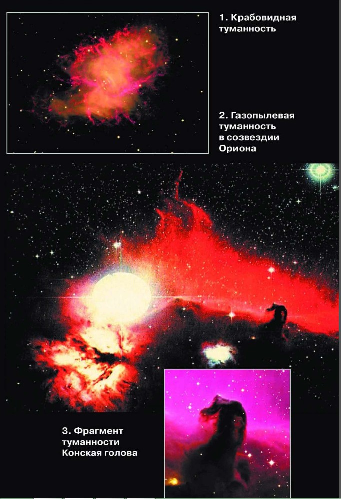 ���� ���������