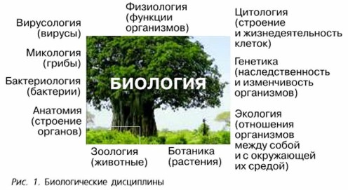 ������������� ����������