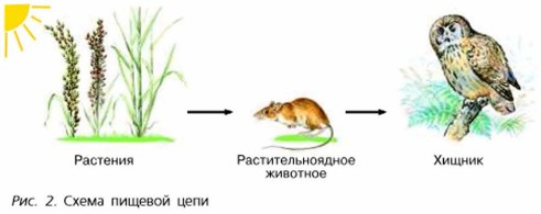 ����� ������� ����