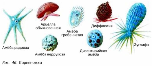 ����������