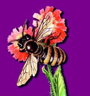 ���������� �� ������