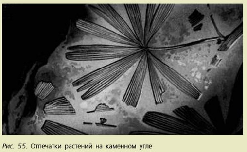 ��������� �������� �� �������� ����