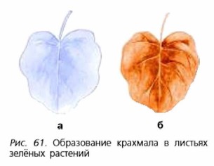 ����������� �������� � ������� ������ ��������