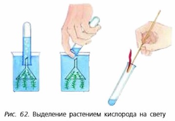 ��������� ��������� ��������� �� �����