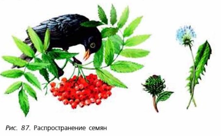 ��������������� �����