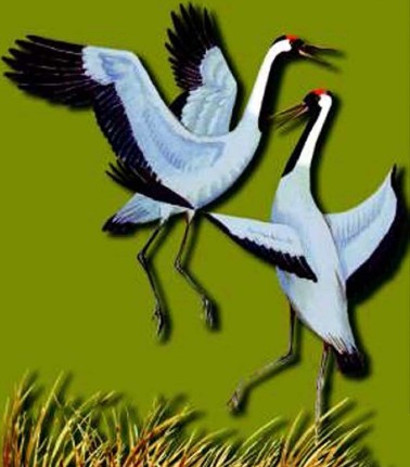 �������������