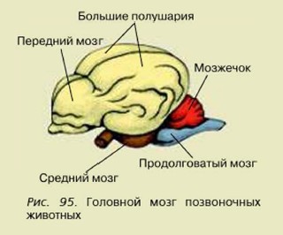 �������� ����