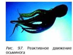 ���������� �������� ���������