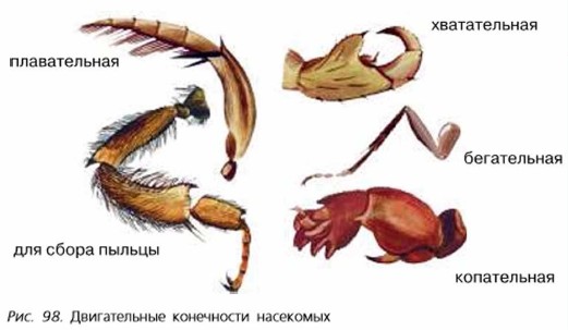 ������������ ���������� ���������