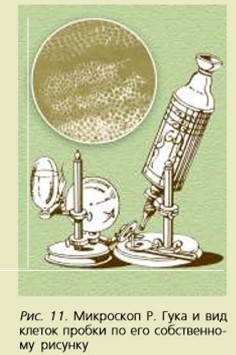 ��������� �. ����