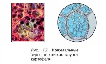 ����������� ��� � ������� ���6�� ���������