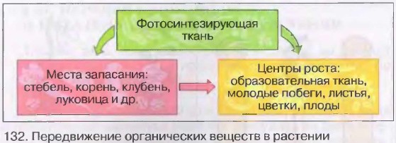 ������������ ������������ ������� � ��������