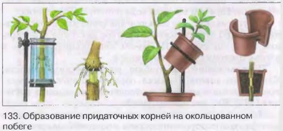 ����������� ����������� ������ �� ������������� ������