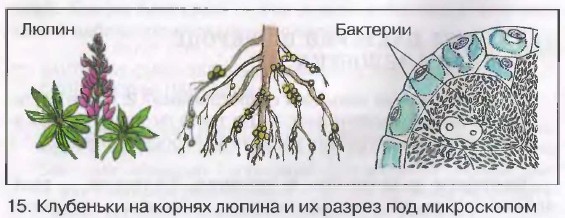 ��������� �� ������ ������ � �� ������ ��� �����������