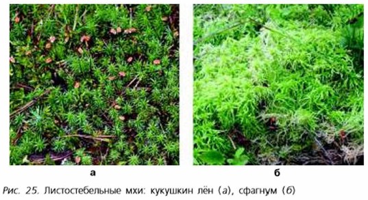 ��������������� ���