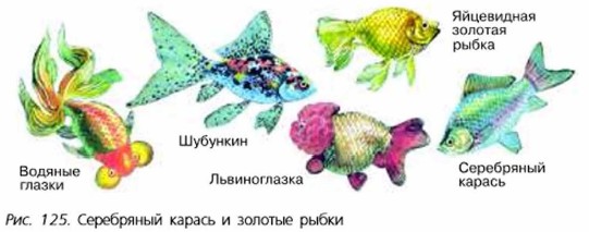 ���������� ������ � ������� �����