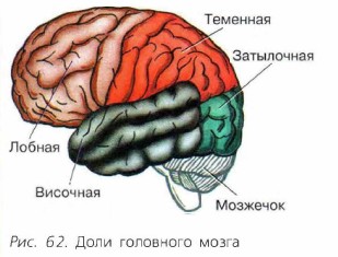 ���� ��������� �����