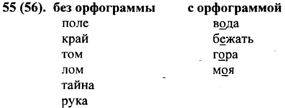 . 55 (56)
