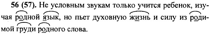 . 56 (57)