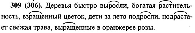 . 309 (306).