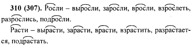 . 310 (307).
