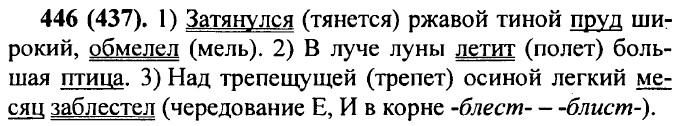. 446 (437).