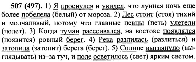 . 507 (497).