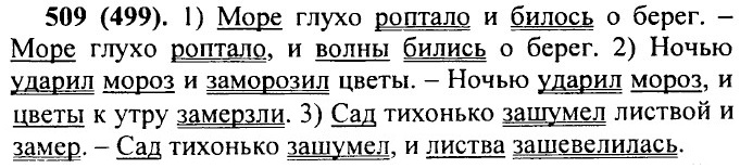 . 509 (499).