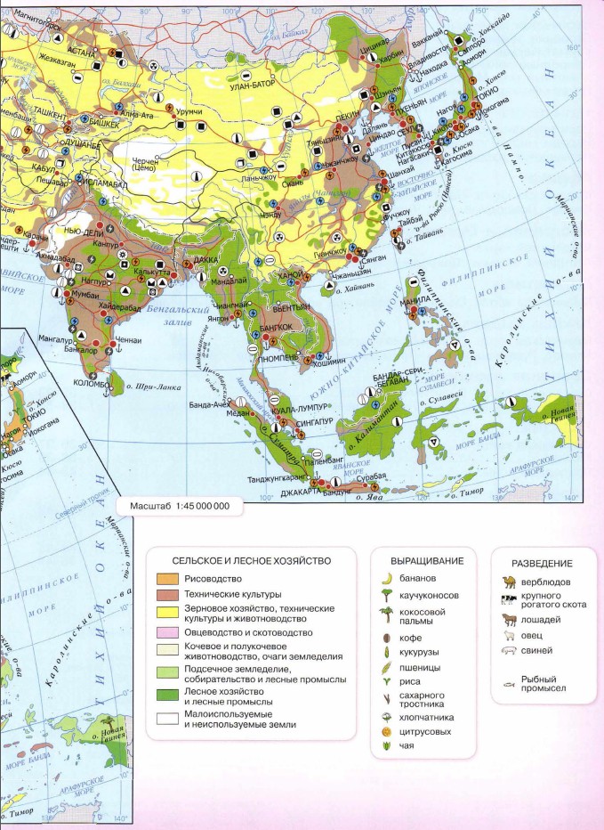 ���������� ����: �������� ���������