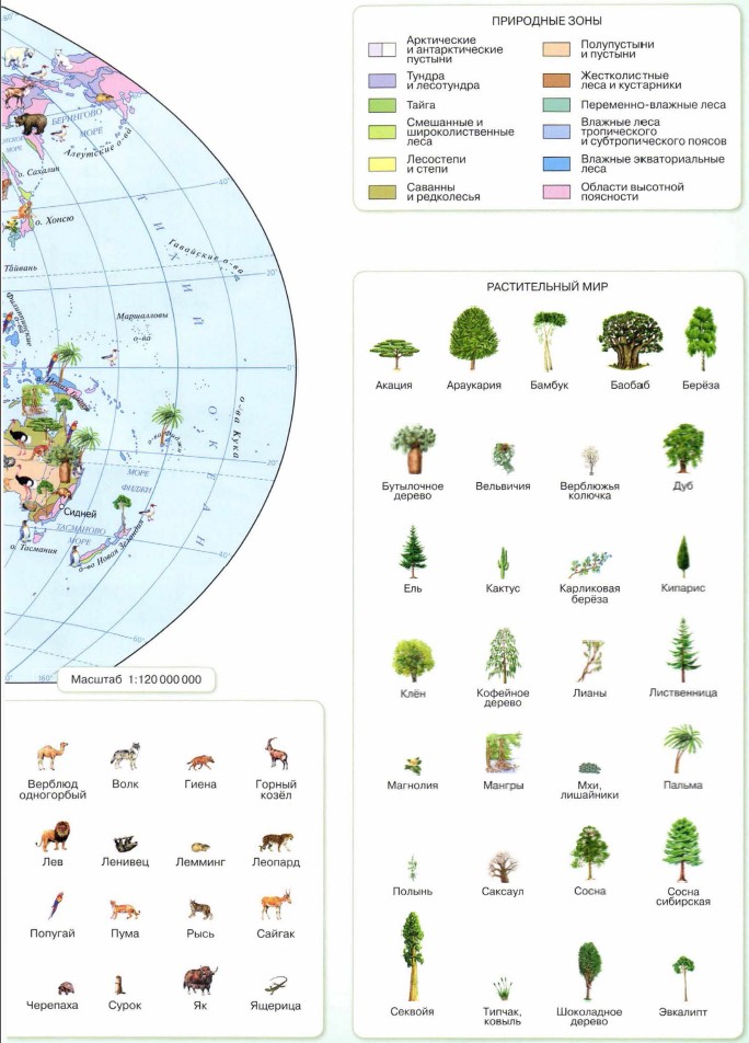 ��������� ����