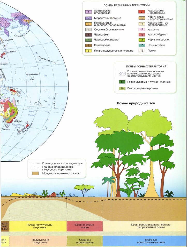 ��������� �����