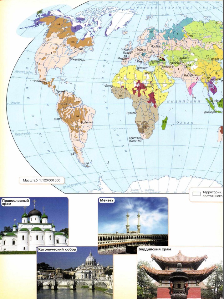 ������ ����