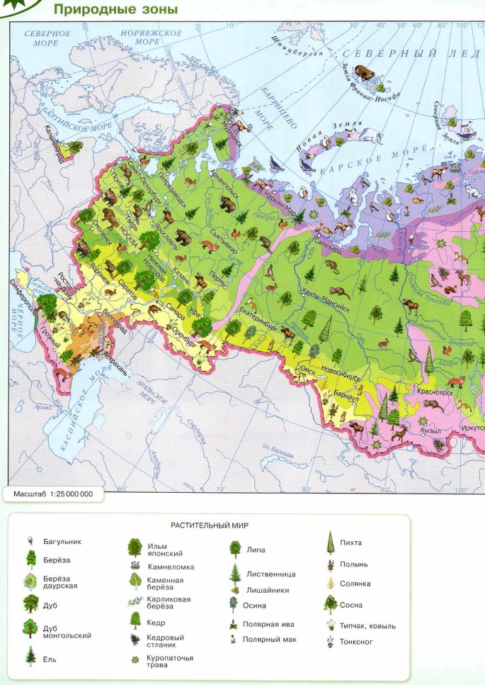 ��������� ���� ������