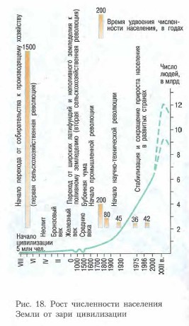 ���� ����������� ���������