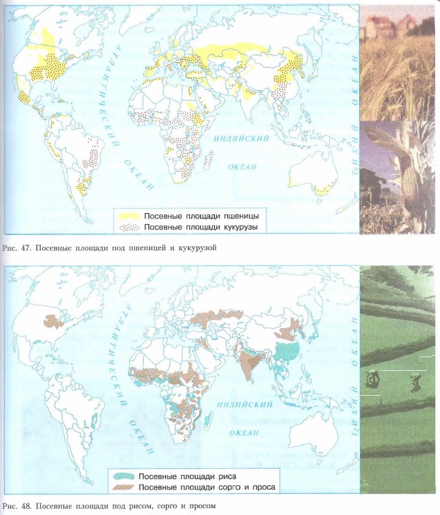 �������� �������