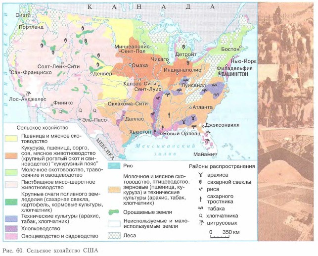 �������� ��������� ���