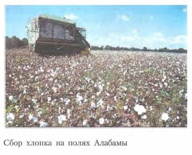 ���� ������ �� ����� �������