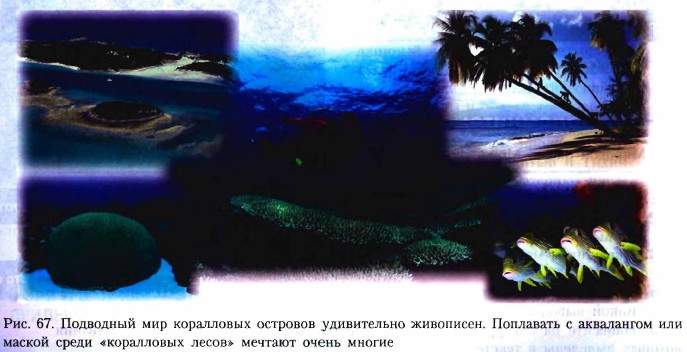 ��������� ��� ���������� ��������