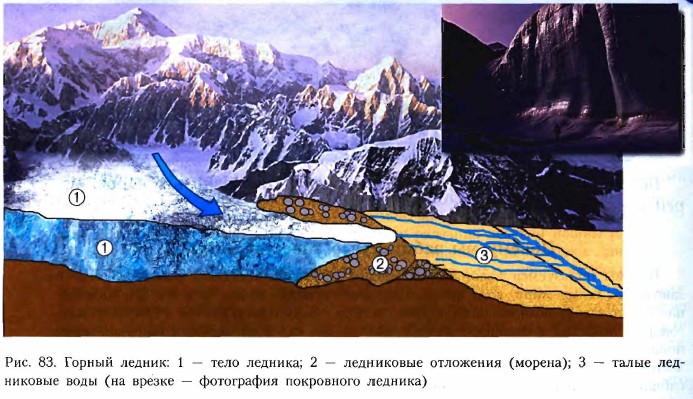 ������ ������