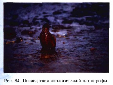 ����������� ������������� ����������