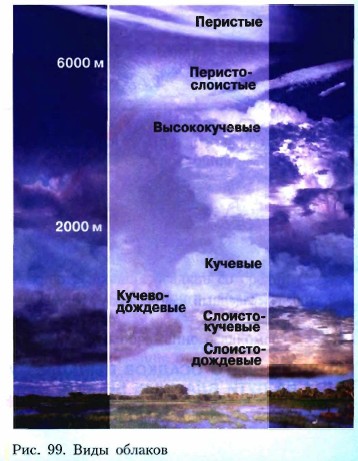 ���� �������