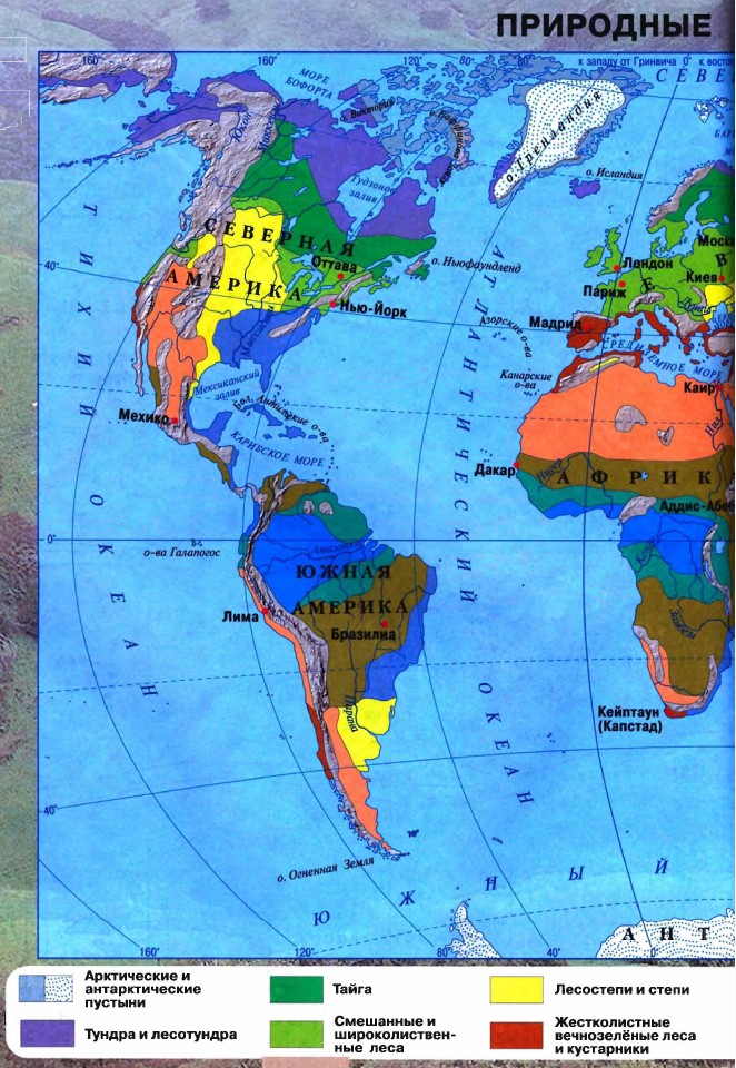 ��������� ���� ����