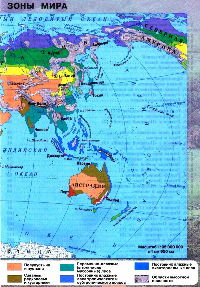 ��������� ���� ����