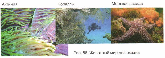 �������� ��� ��� ������