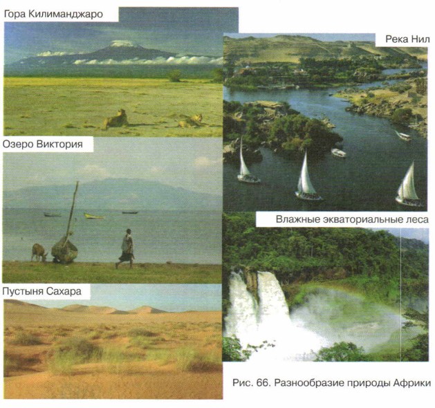 ������� ������