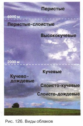 ���� �������