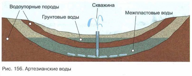 ������������ ����