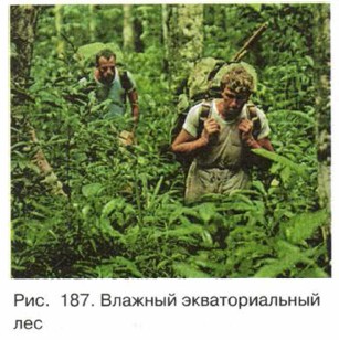 ������� �������������� ���