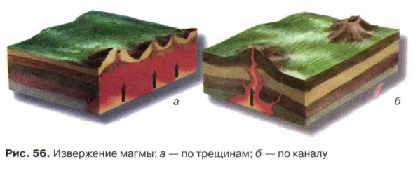 ���������� �����