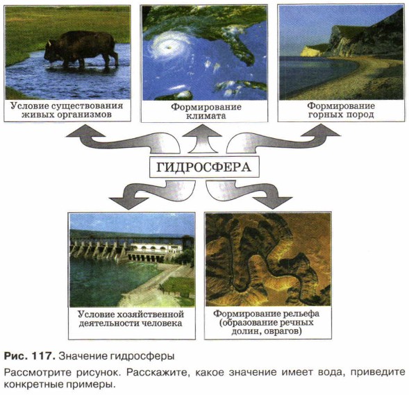 �������� ����������